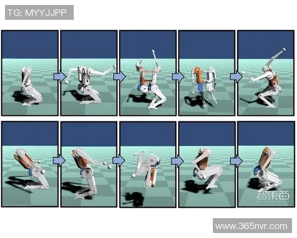 挑战极限的杂技足球挑战赛下载尽享精彩瞬间与无限乐趣